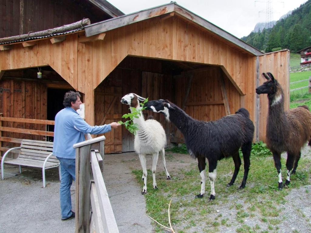 "Quality Hosts Arlberg" Hotel-Gasthof Freisleben Sankt Anton am Arlberg Exterior foto